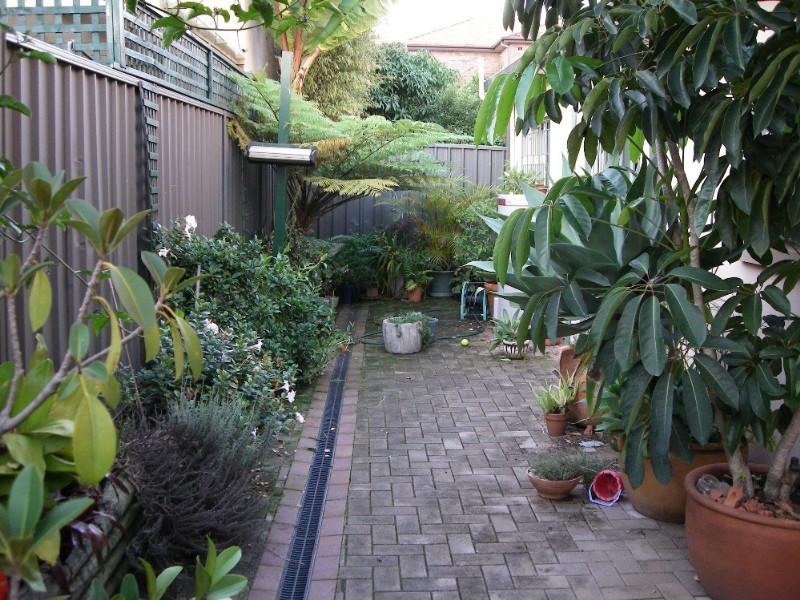 Real Estate in Dulwich Hill