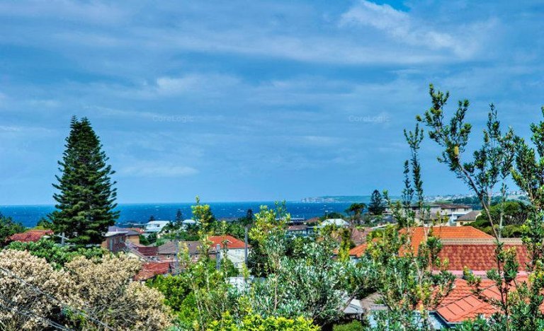 Real Estate in North Bondi