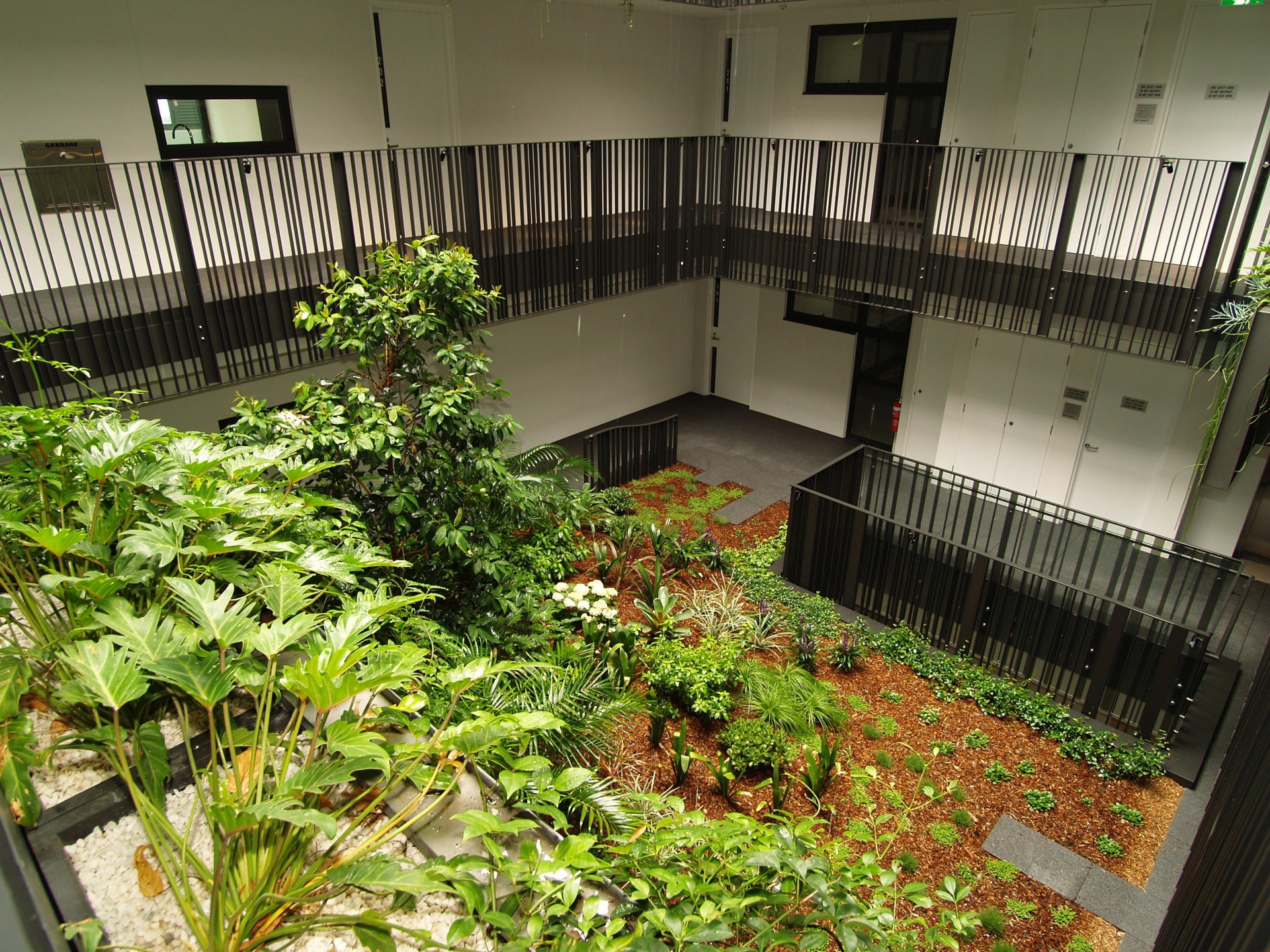 Real Estate in Camperdown