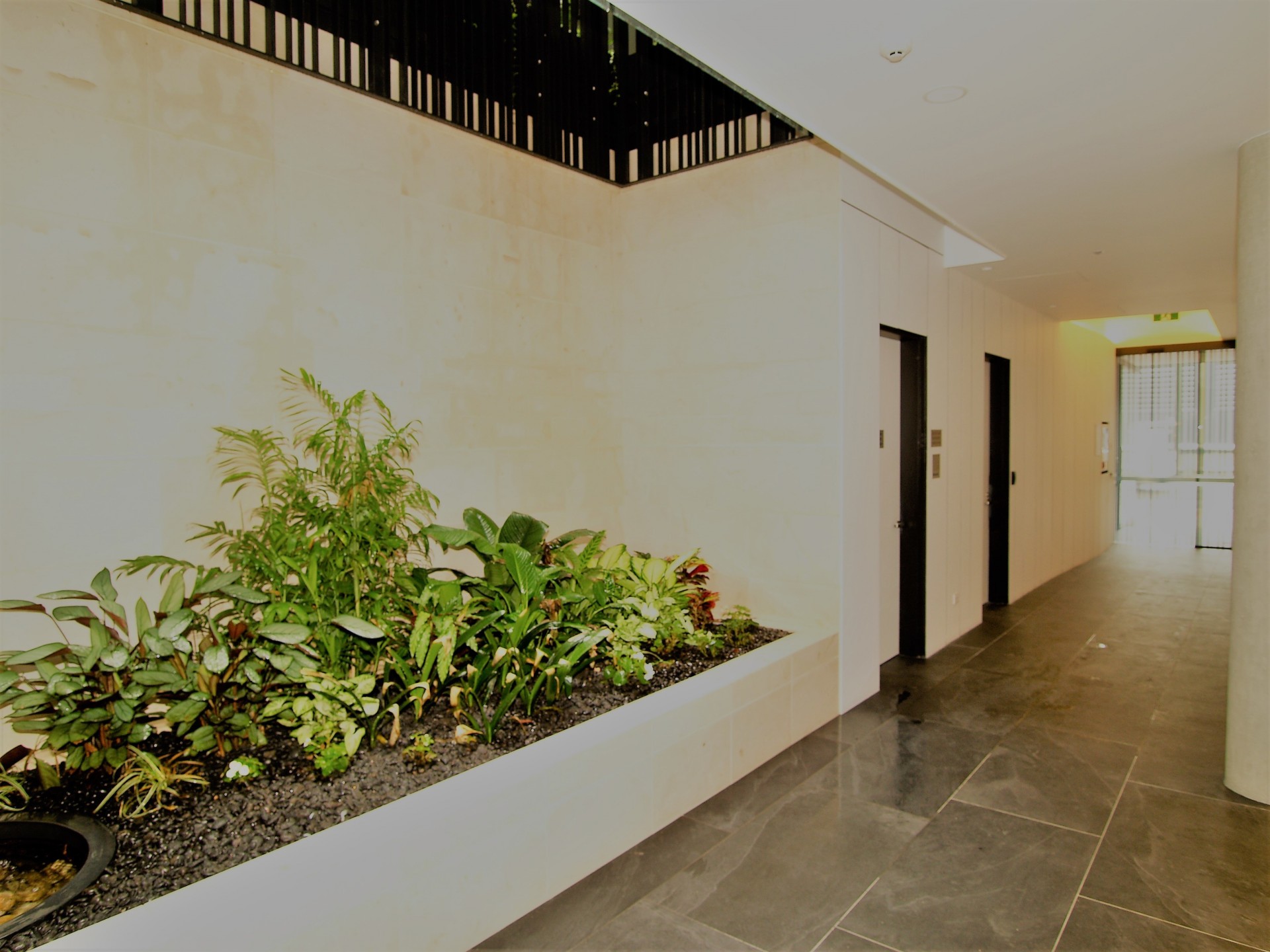 Camperdown Properties Leased