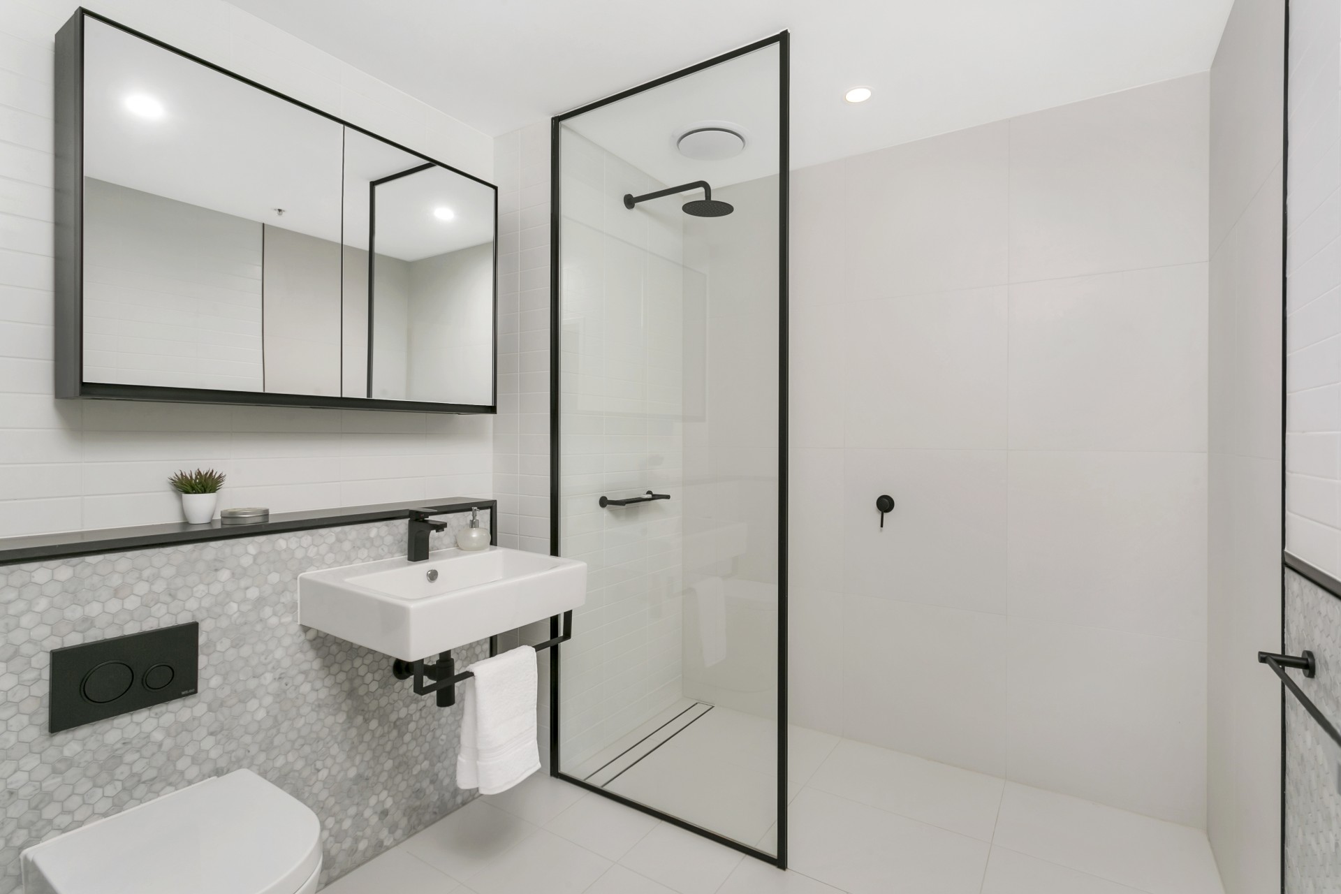 Real Estate in Glebe