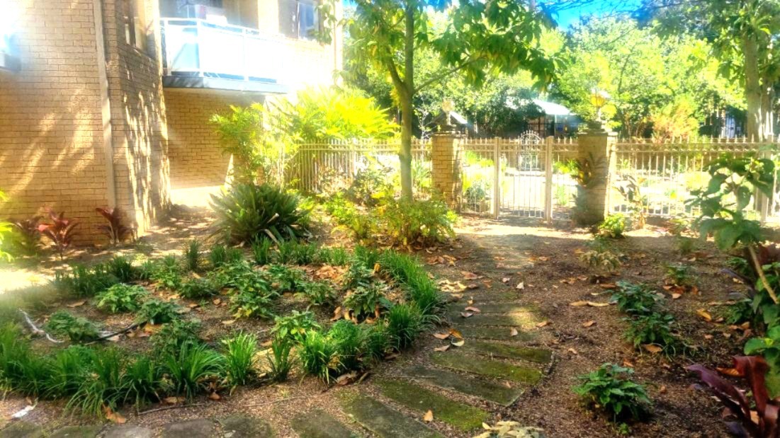 Real Estate in Lewisham