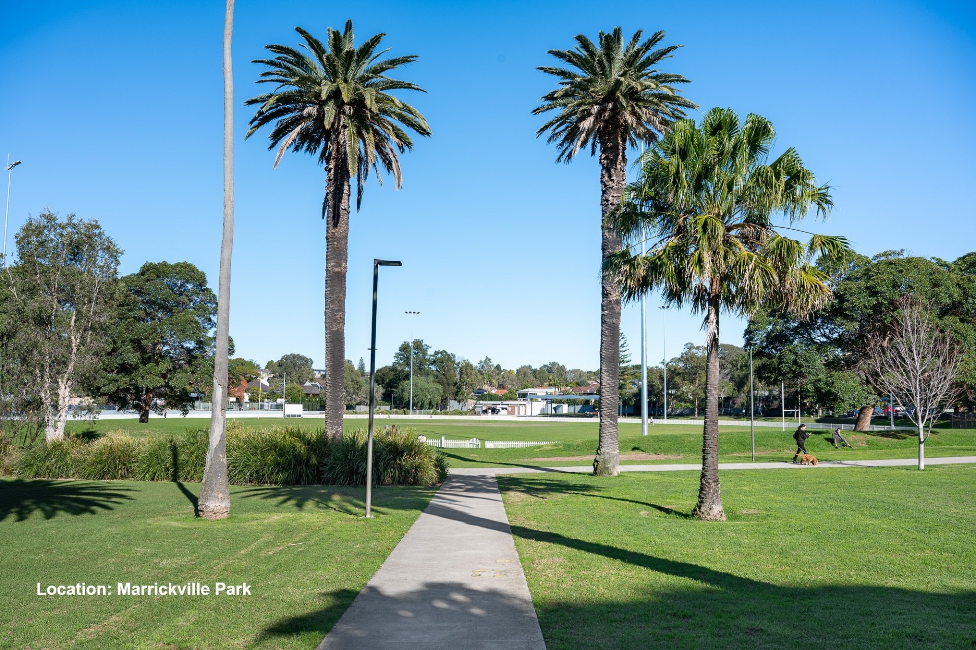 Selling your property in Marrickville