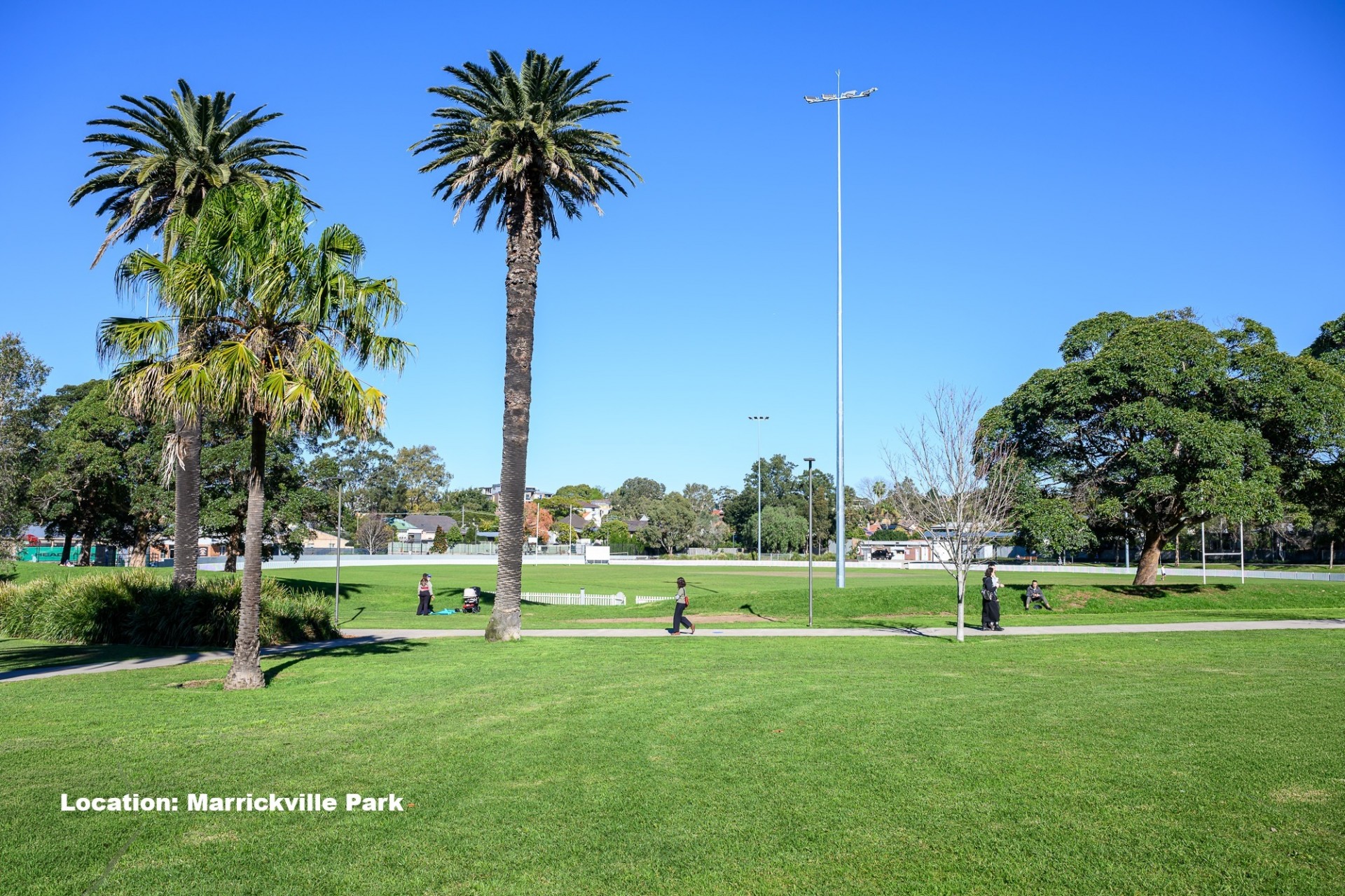 Real Estate in Marrickville