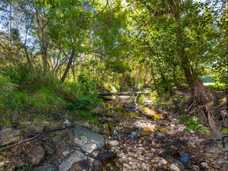 Real Estate in Ellen Grove