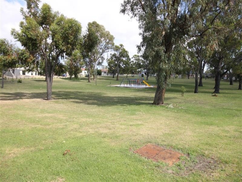 Image 15