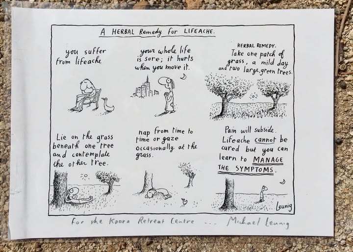 Image 27