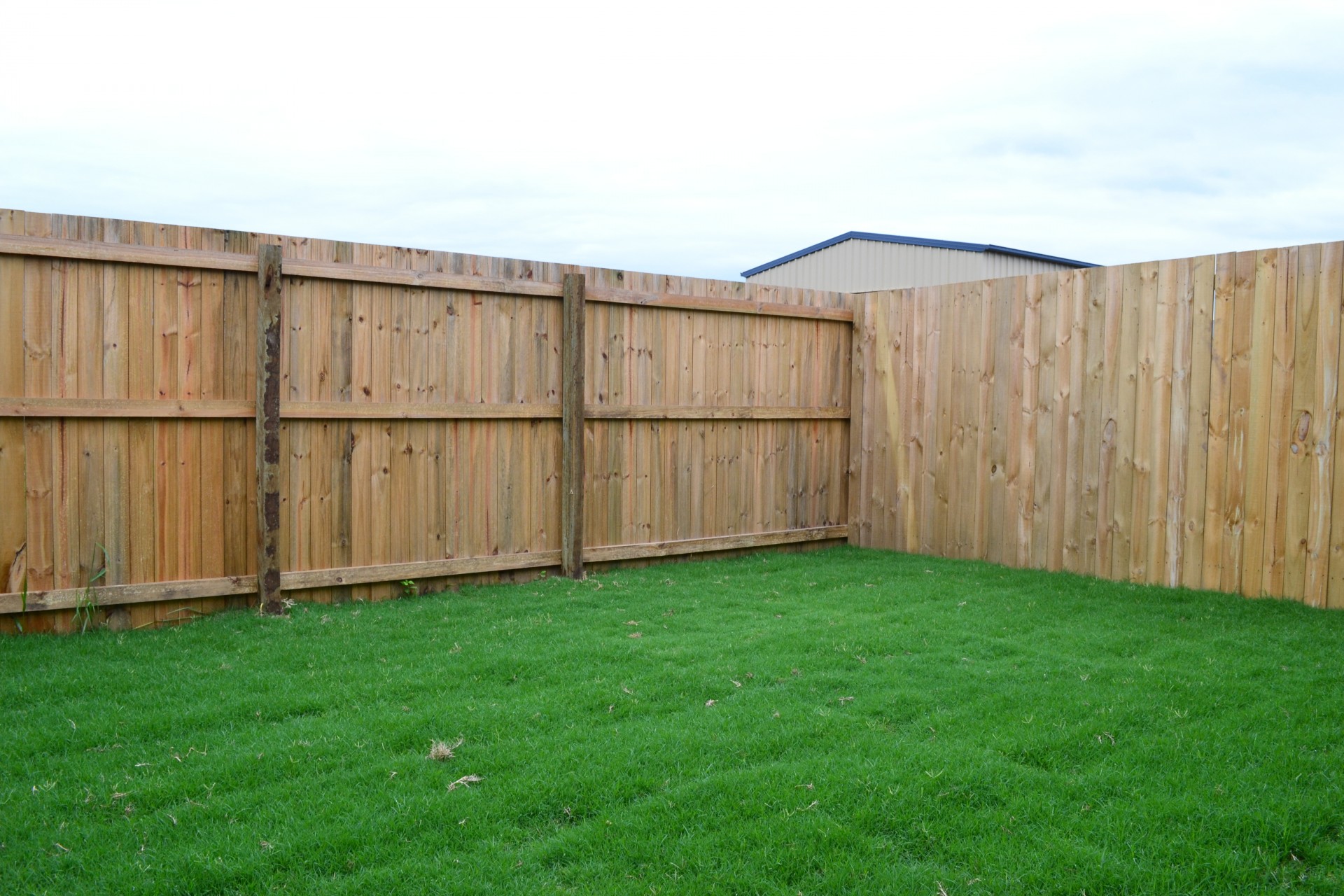 Bellmere real estate For Rent