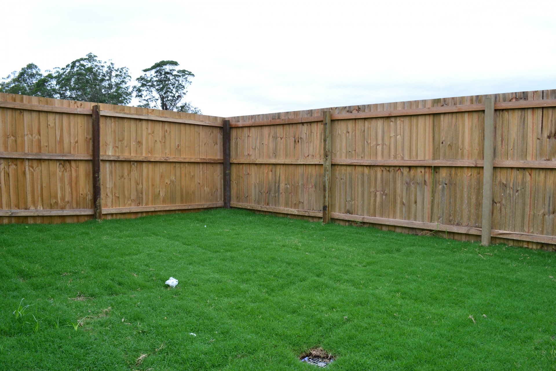 Open for inspection in Bellmere