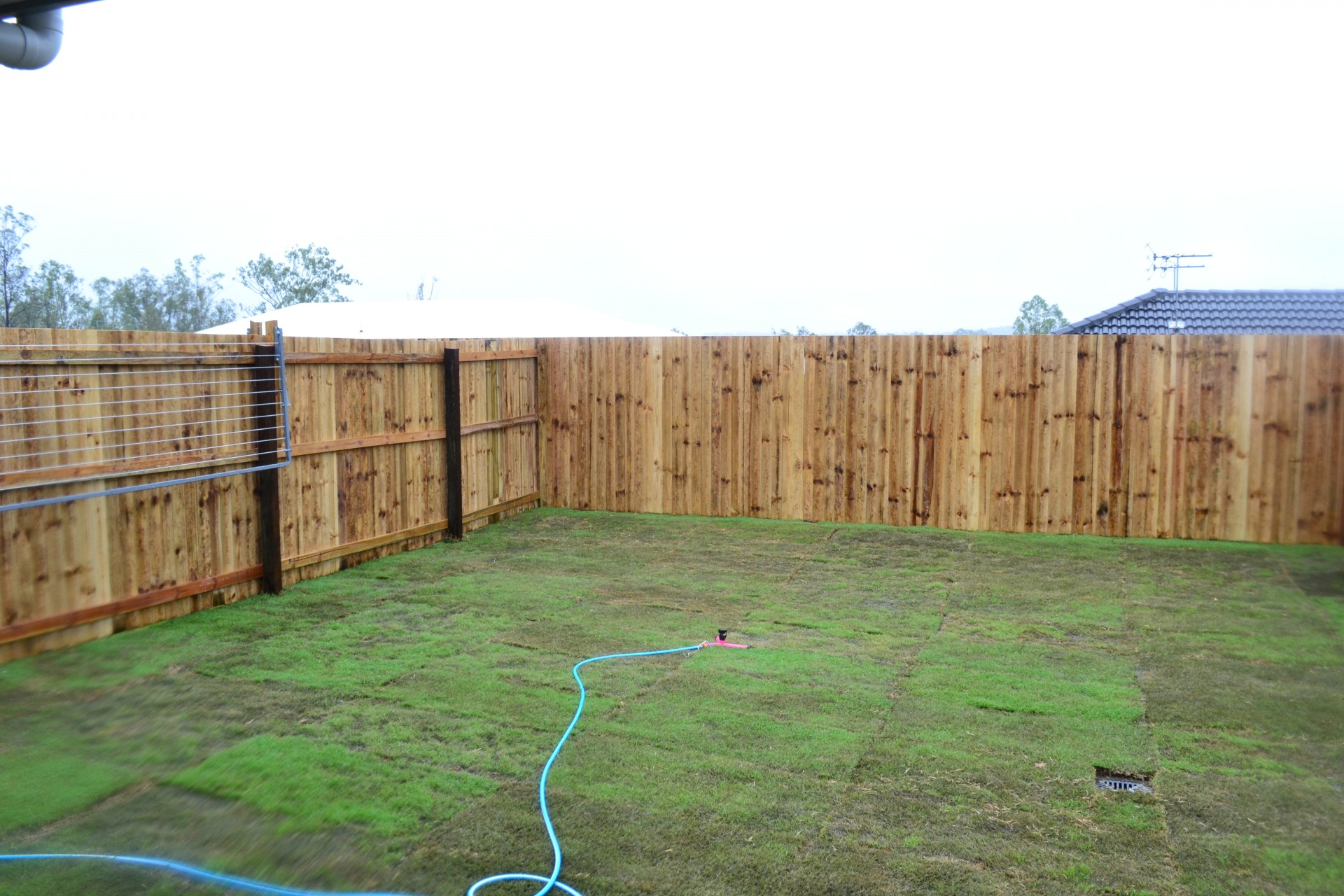 Leichhardt real estate For Rent