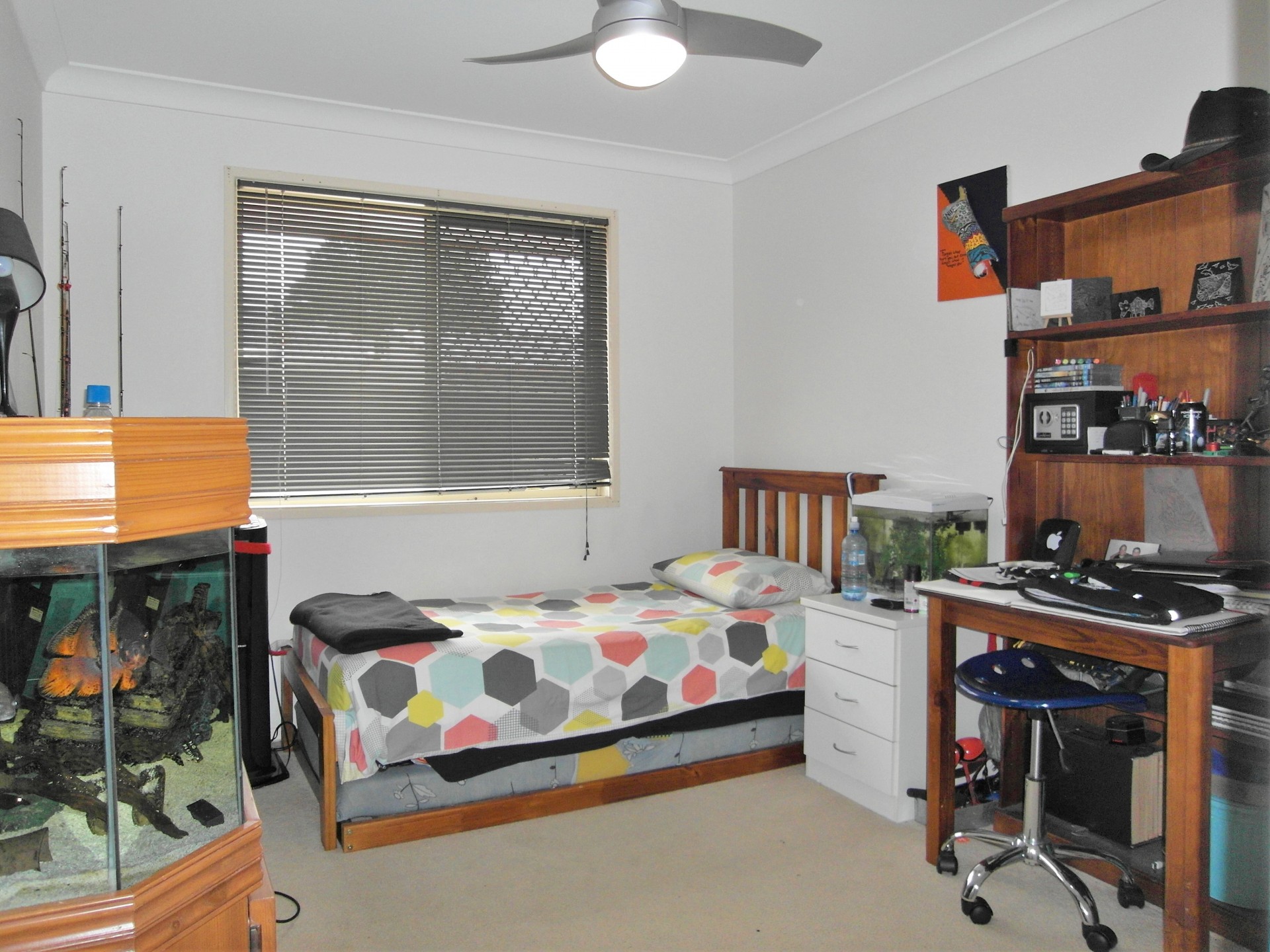 Real Estate in Glenvale