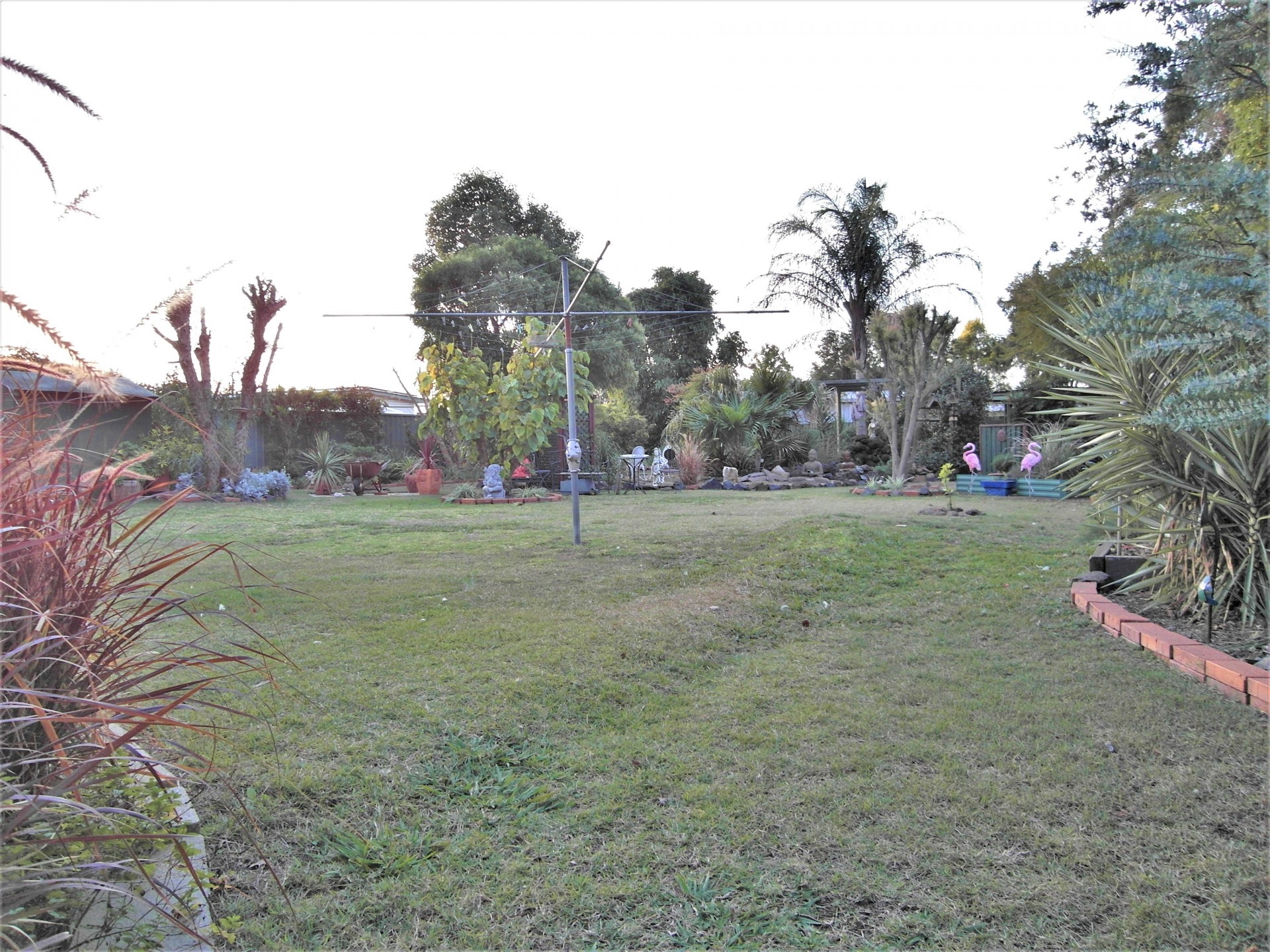 Real Estate in Cambooya