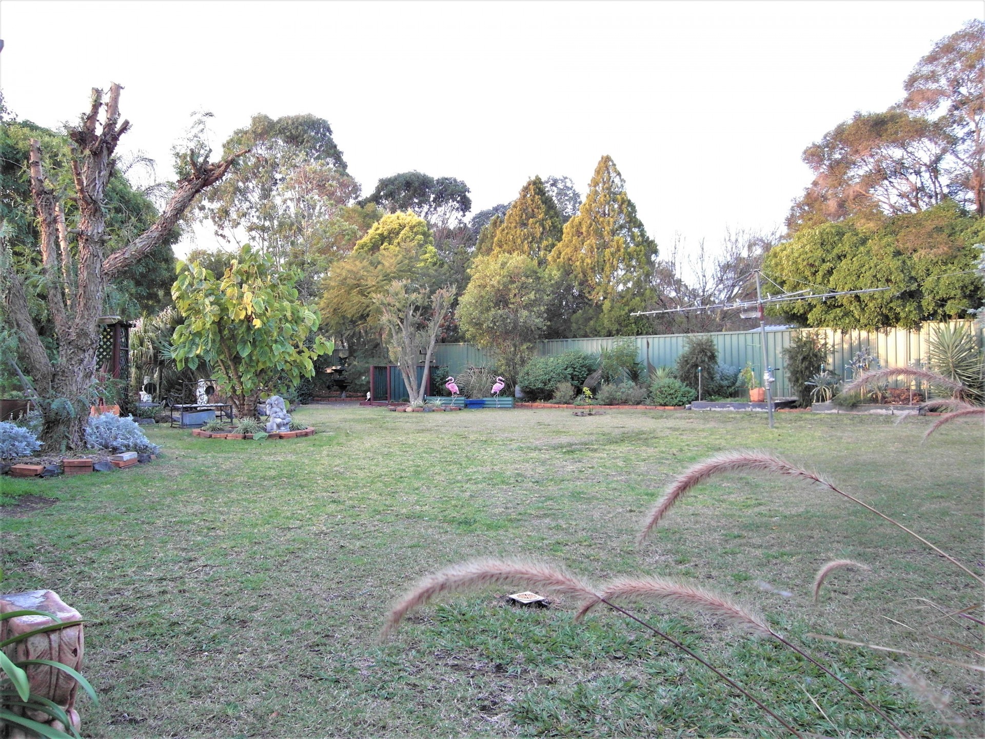 Real Estate in Cambooya