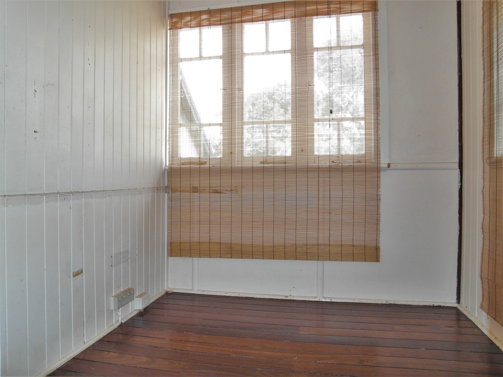 Real Estate in Newtown