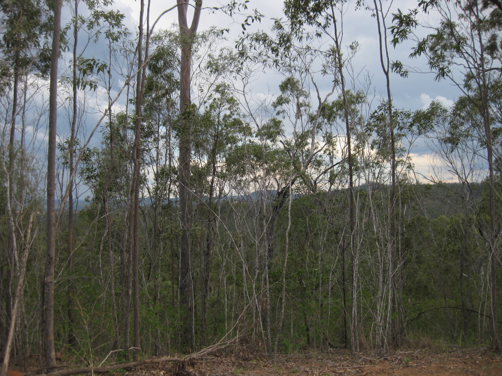Open for inspection in Upper Lockyer