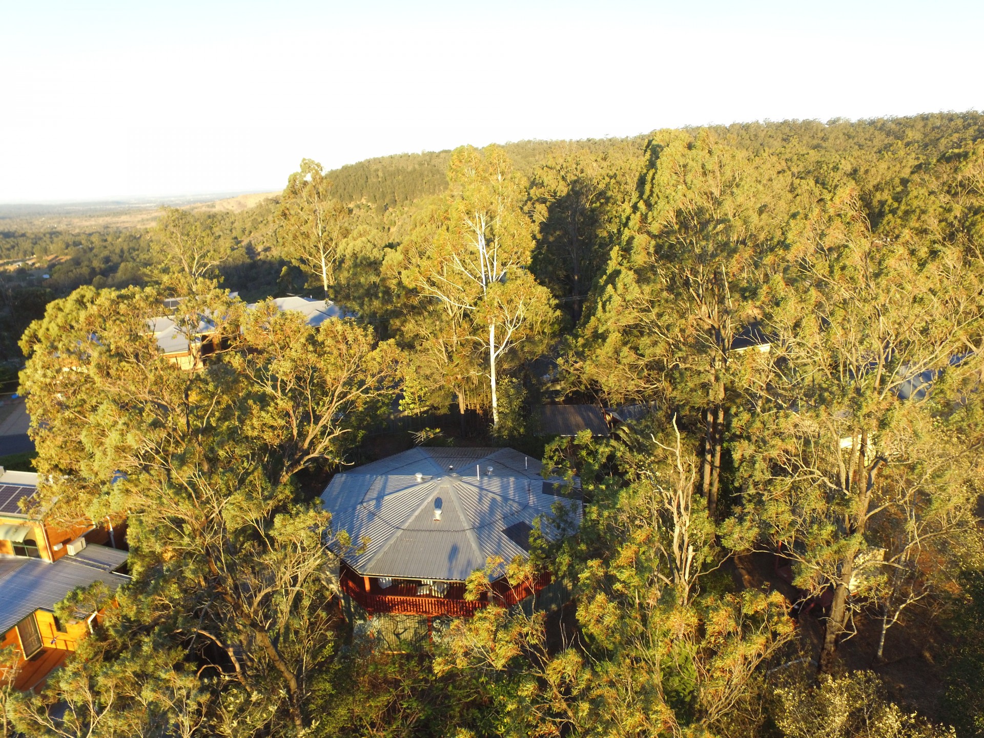 Real Estate in Withcott