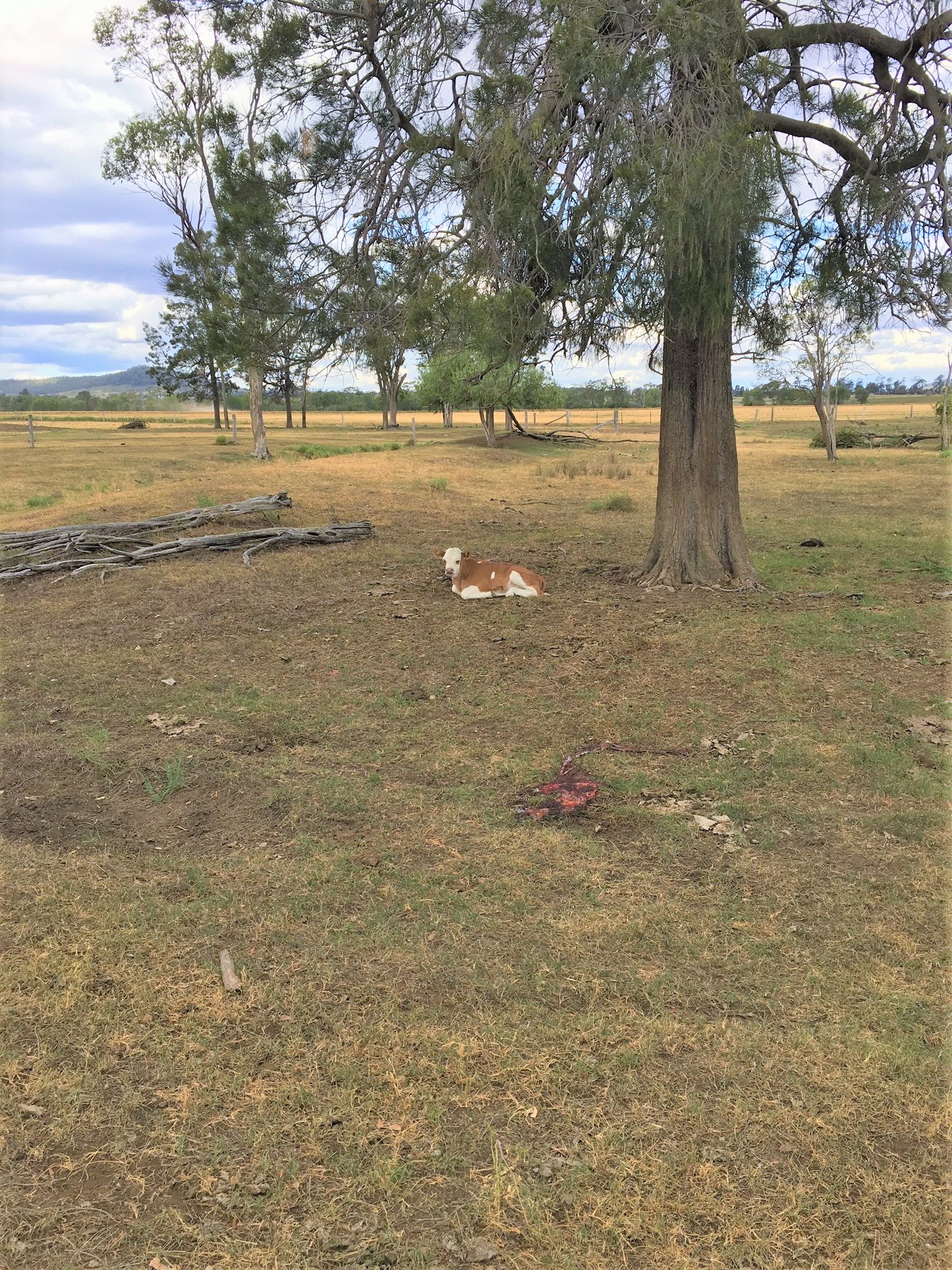 Stonehenge real estate Sold