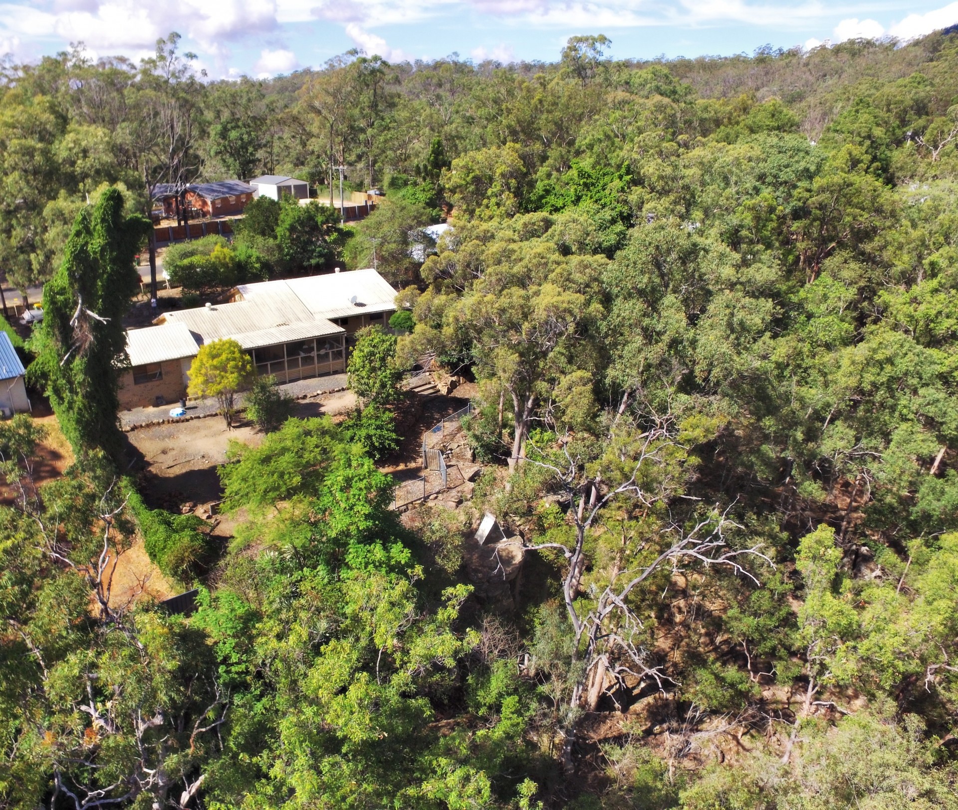 Real Estate in Withcott