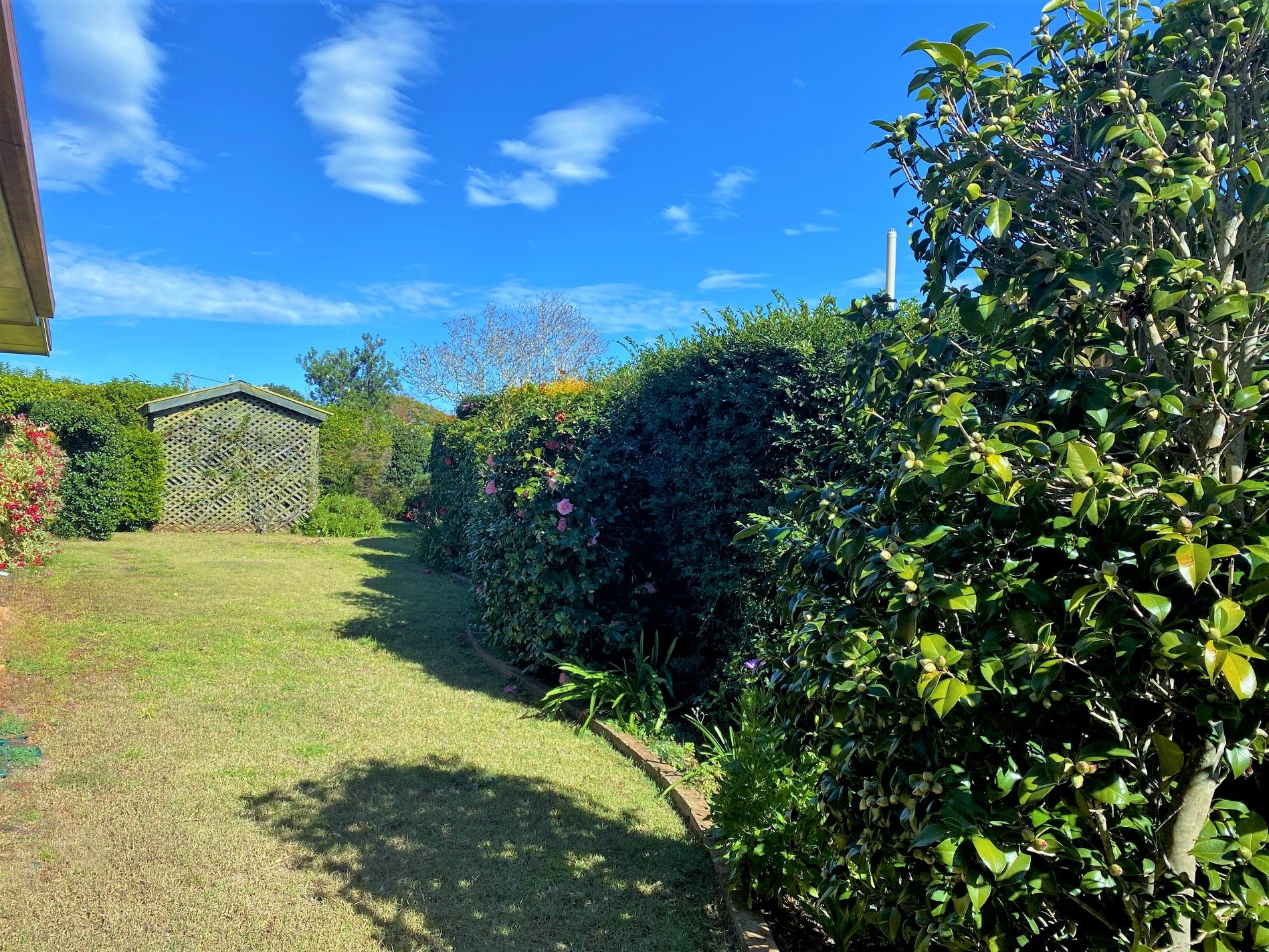 Real Estate in Harristown