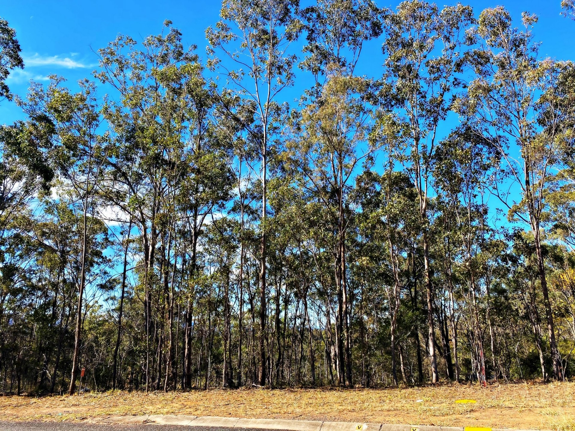 Withcott Properties Sold