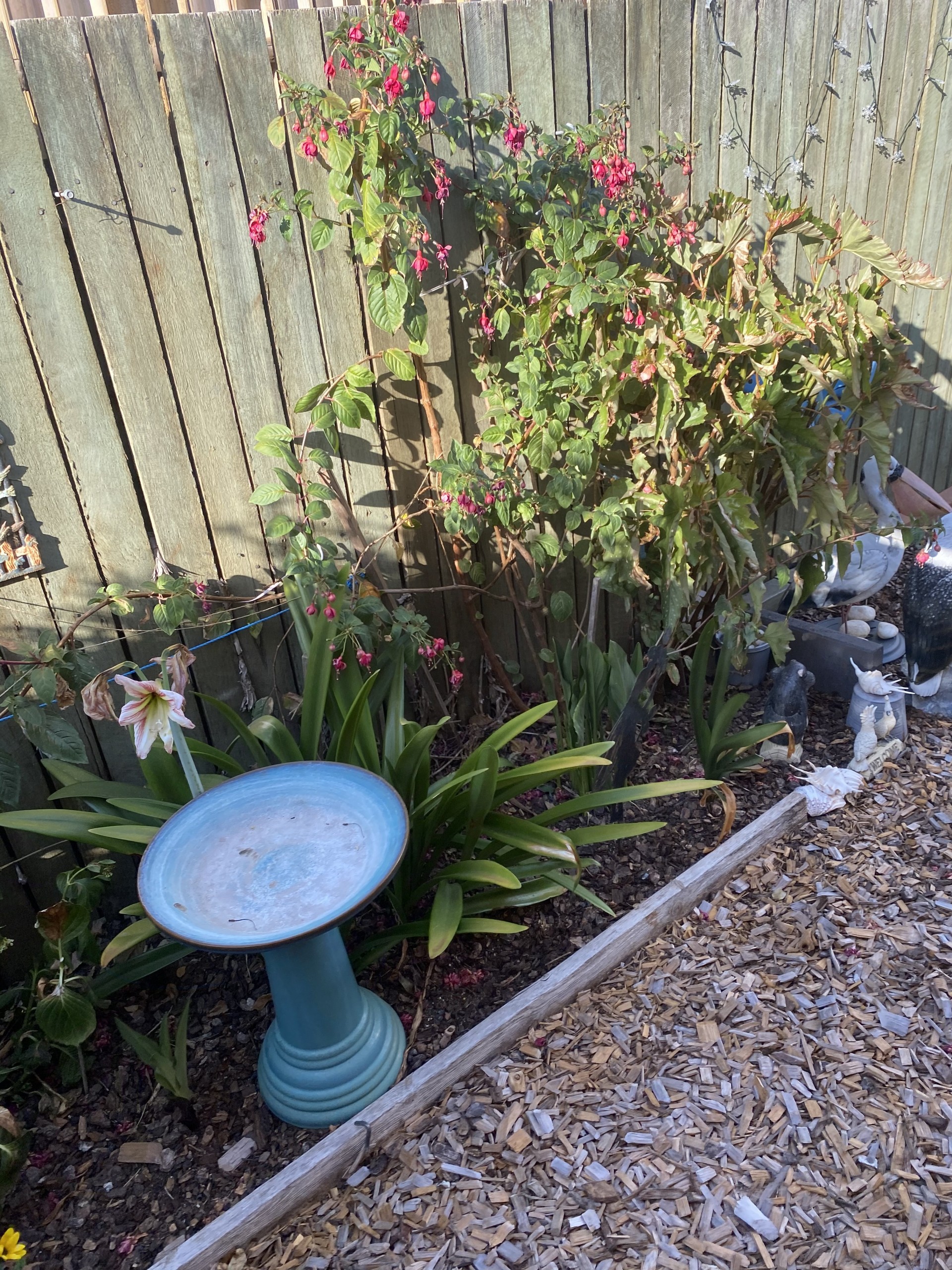 Open for inspection in Harristown