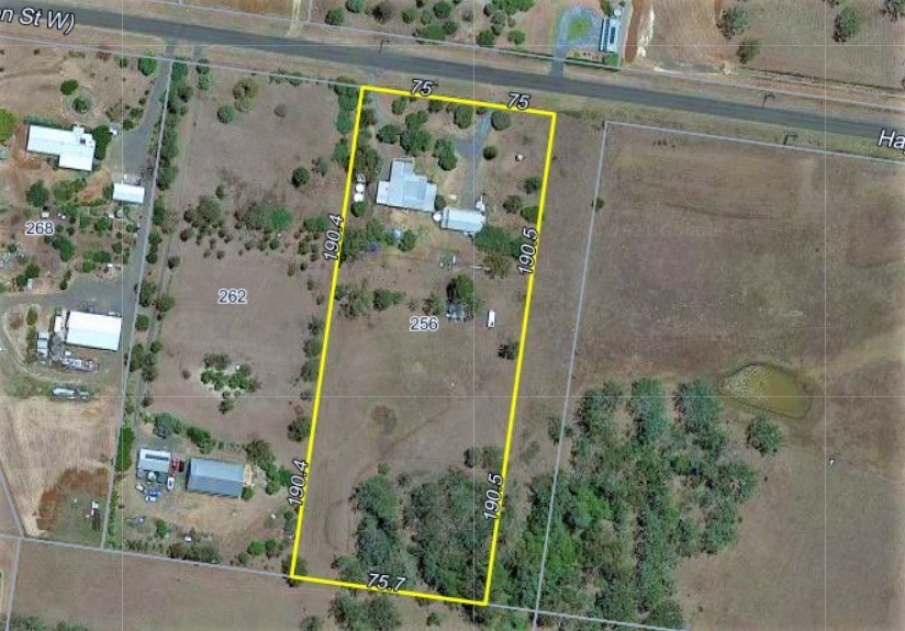 Real Estate in Mount Rascal