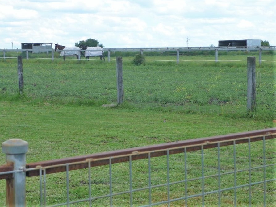 Real Estate in Wyreema