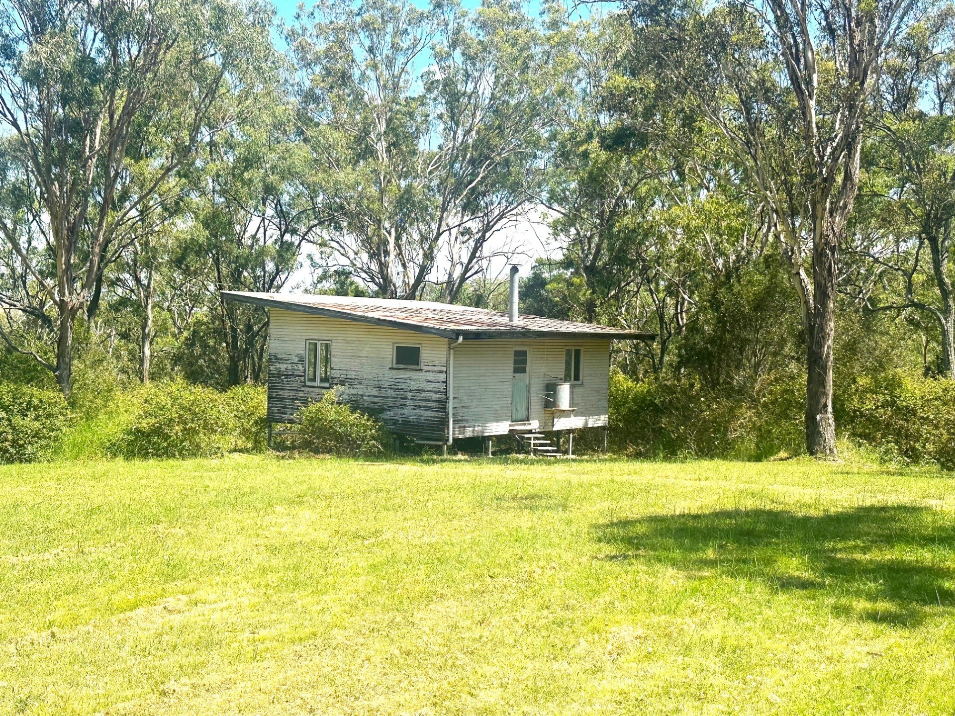 Real Estate in Mount Rascal