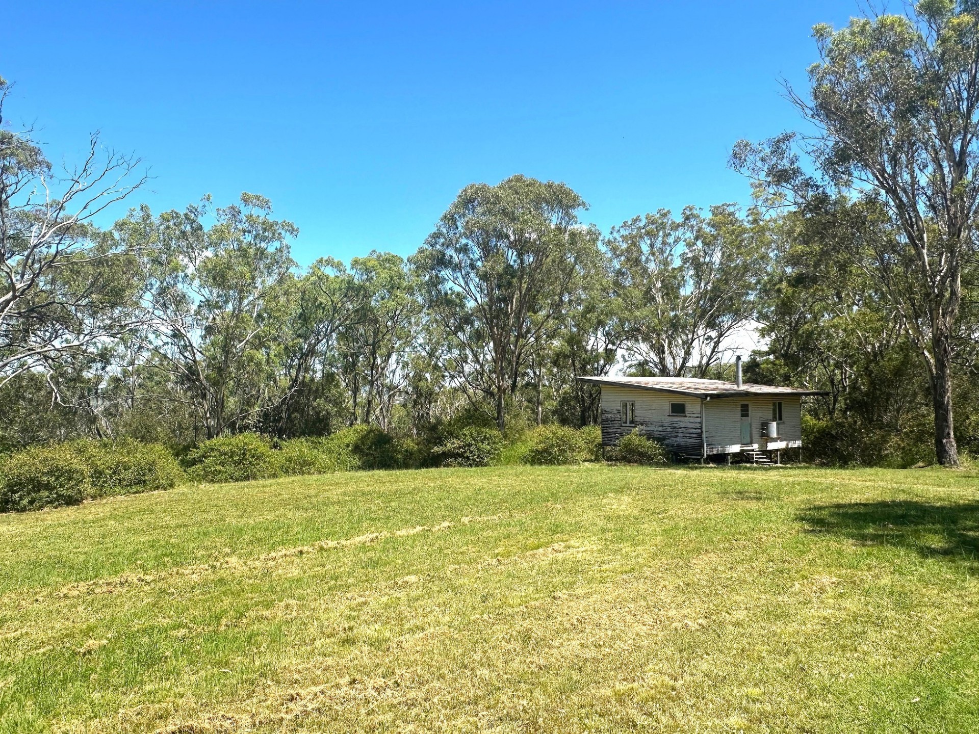 Real Estate in Mount Rascal