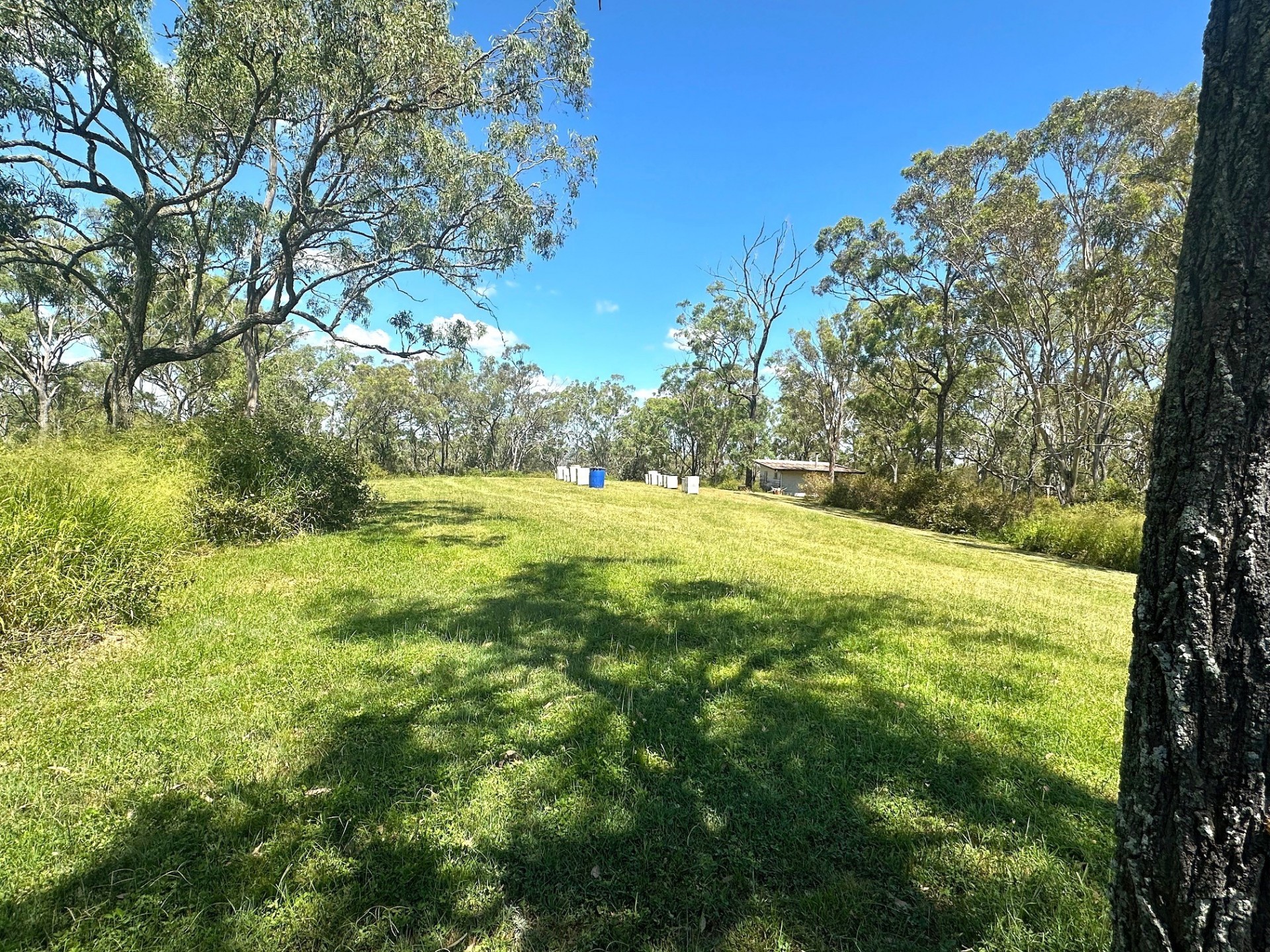 Real Estate in Mount Rascal