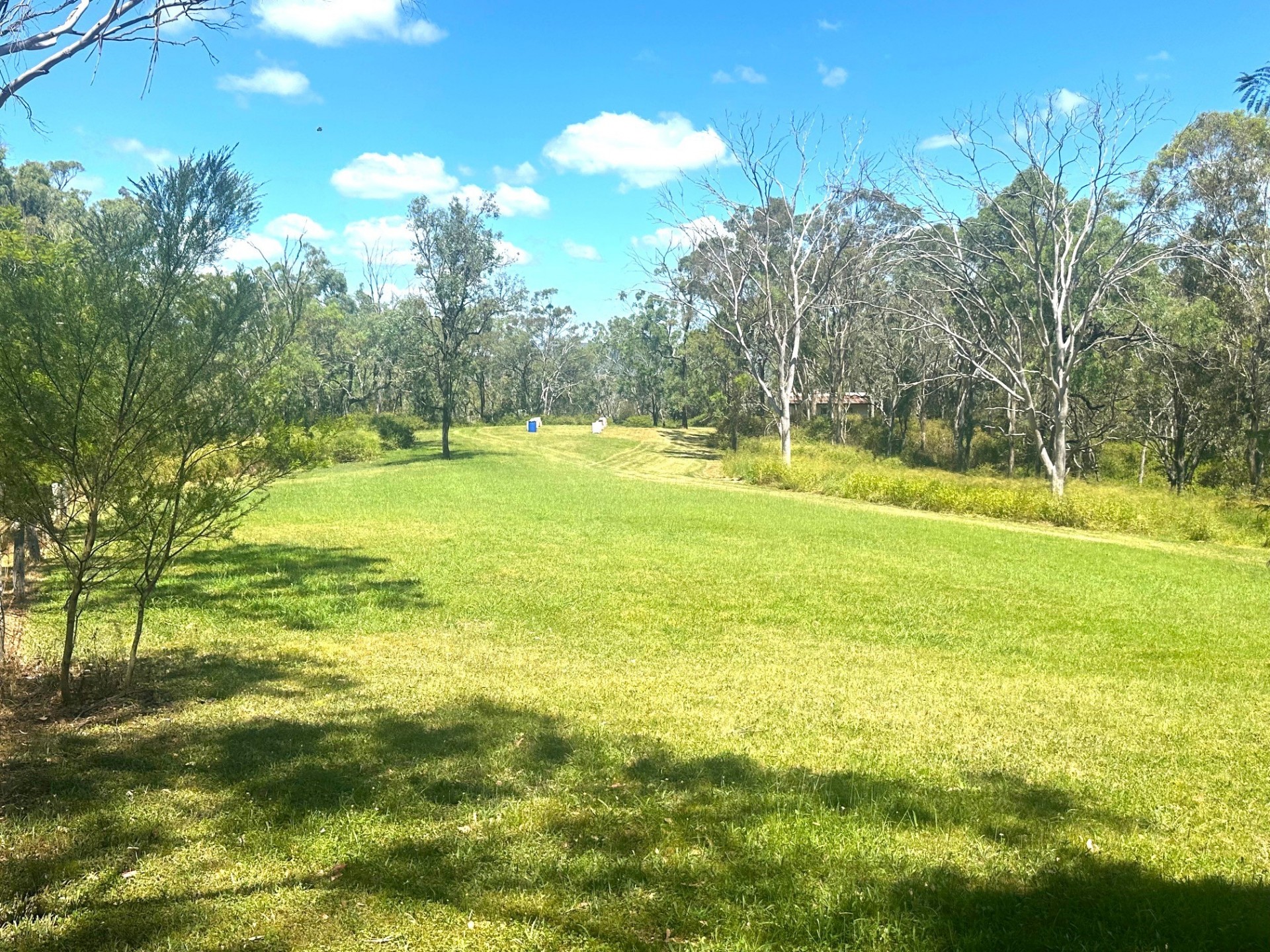 Real Estate in Mount Rascal
