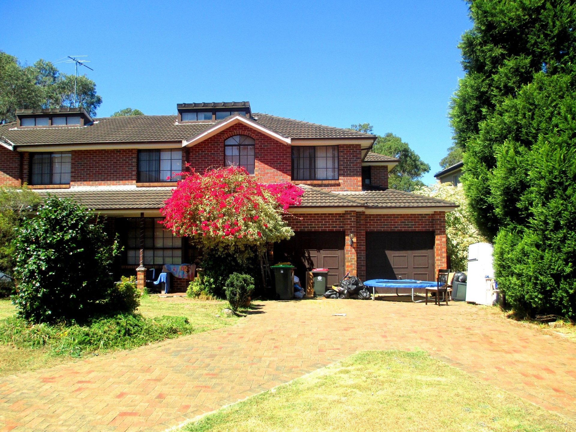 Image 2