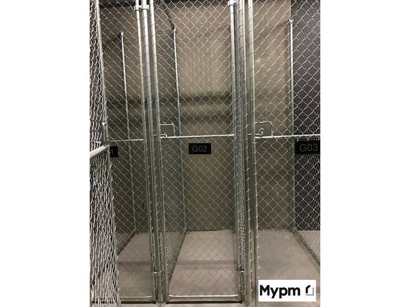 Image 7