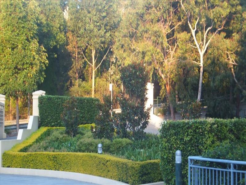 Image 12