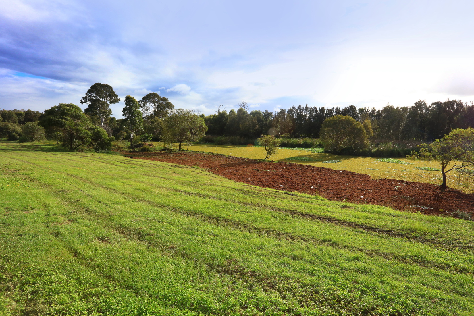 Image 29