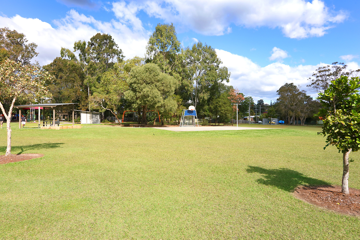 Image 19