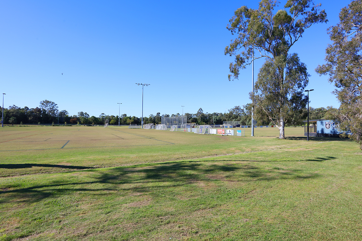 Image 31