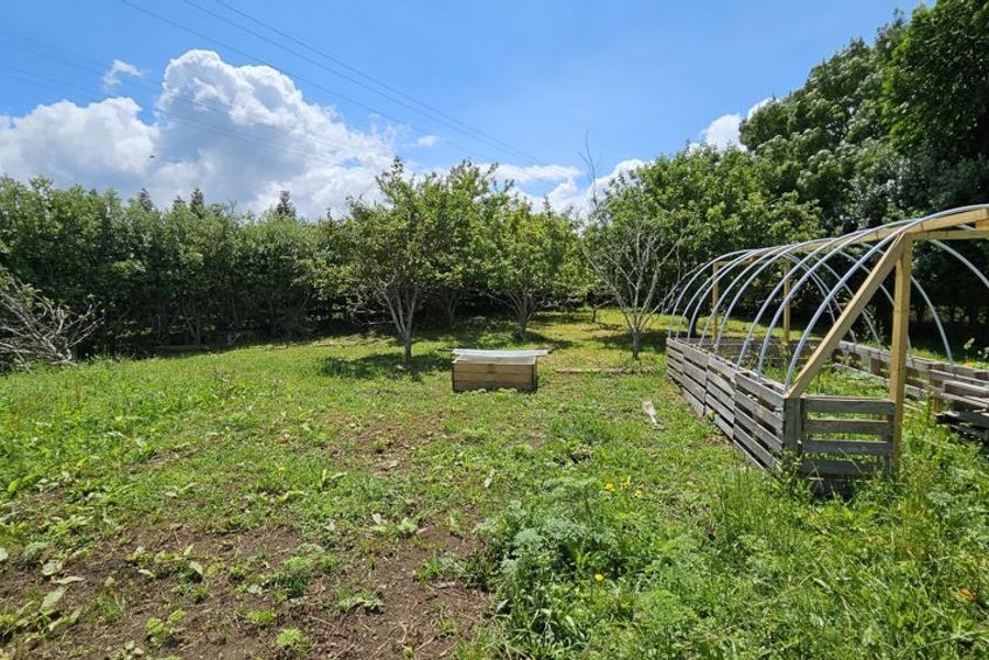 Image 28