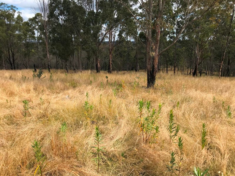 Image 13