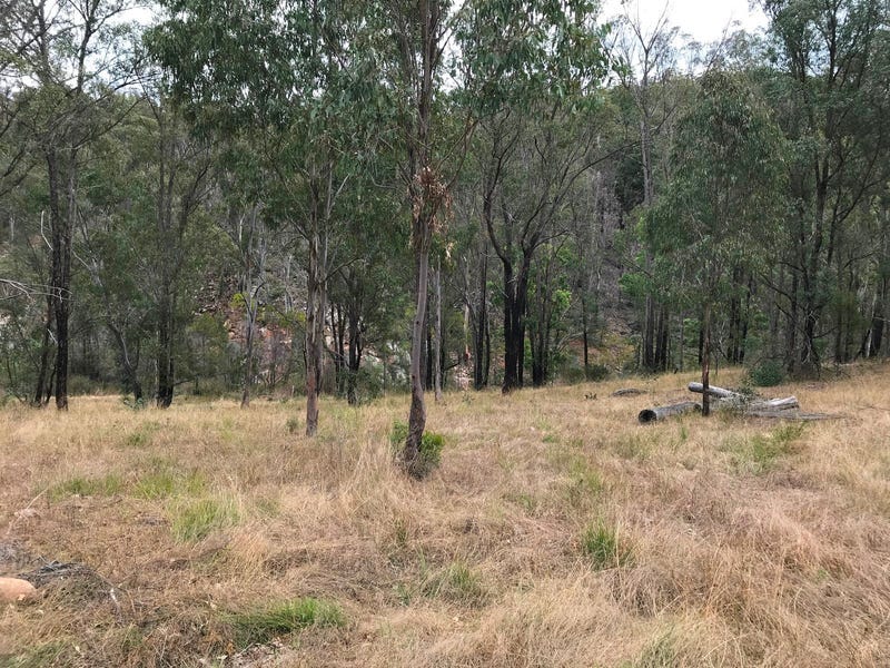 Image 15
