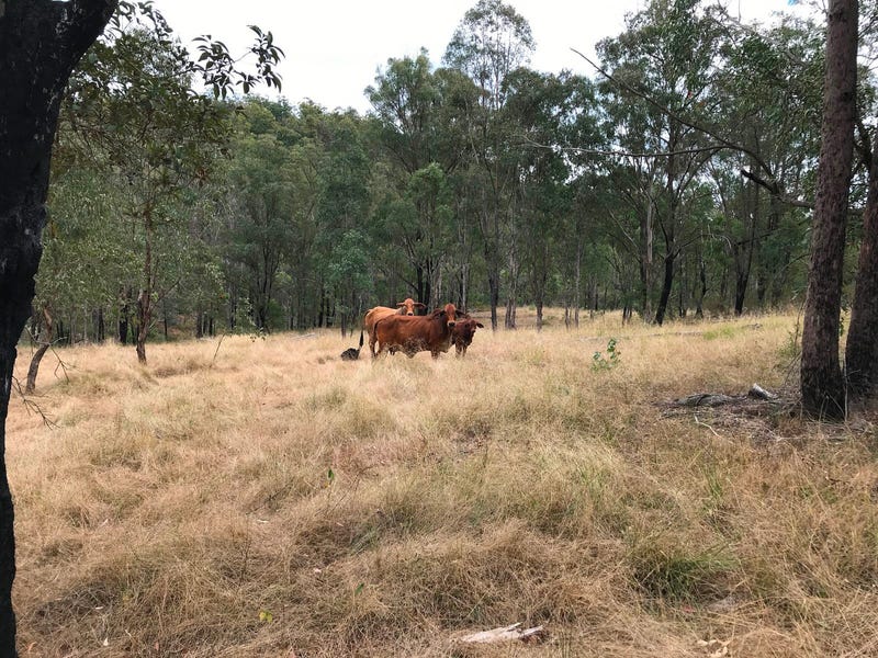 Image 16