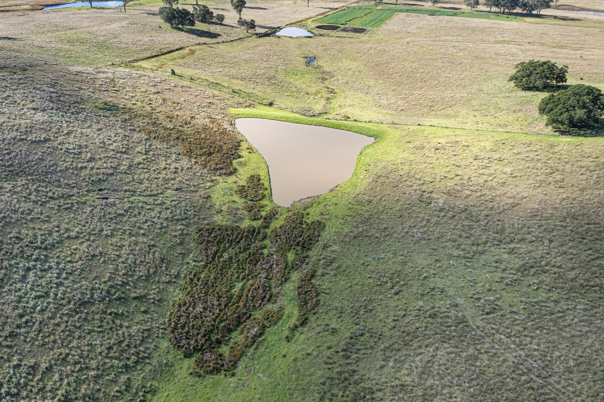 Image 21
