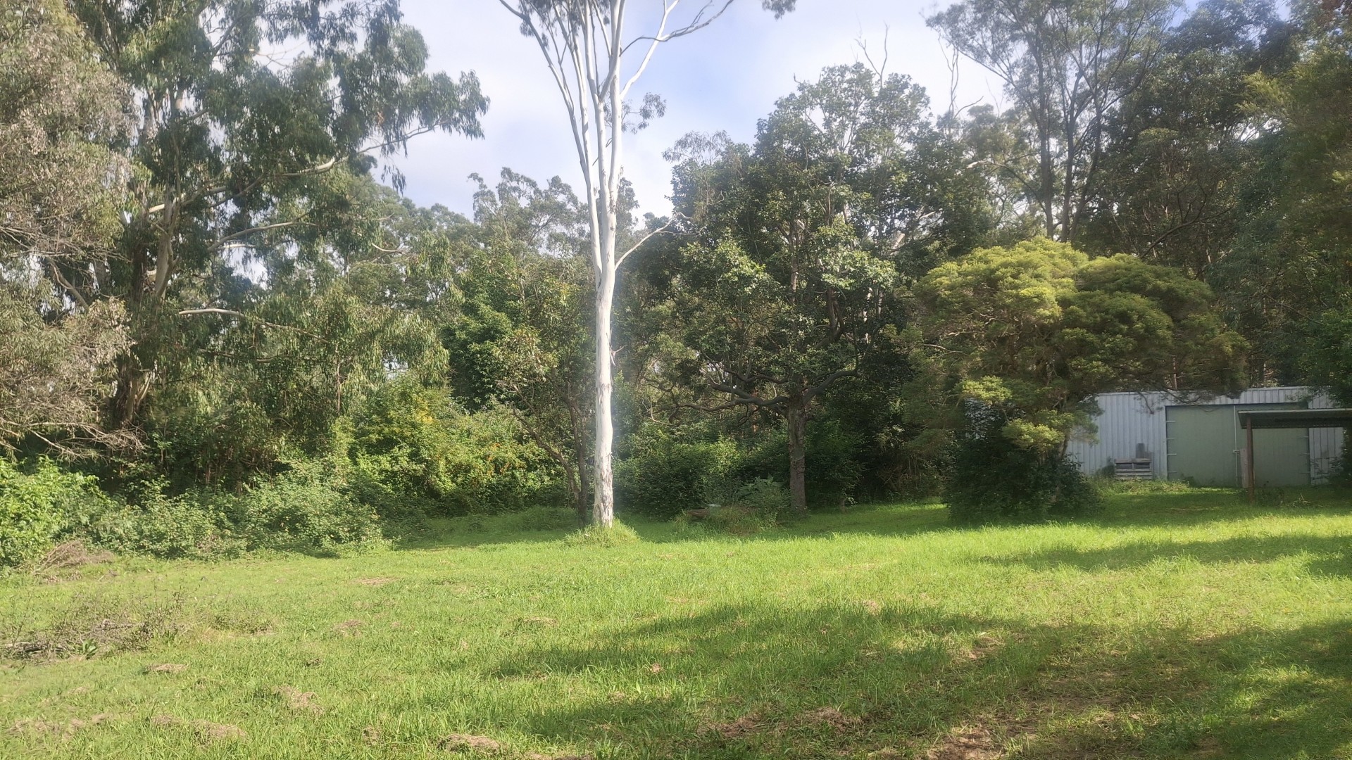 Image 11