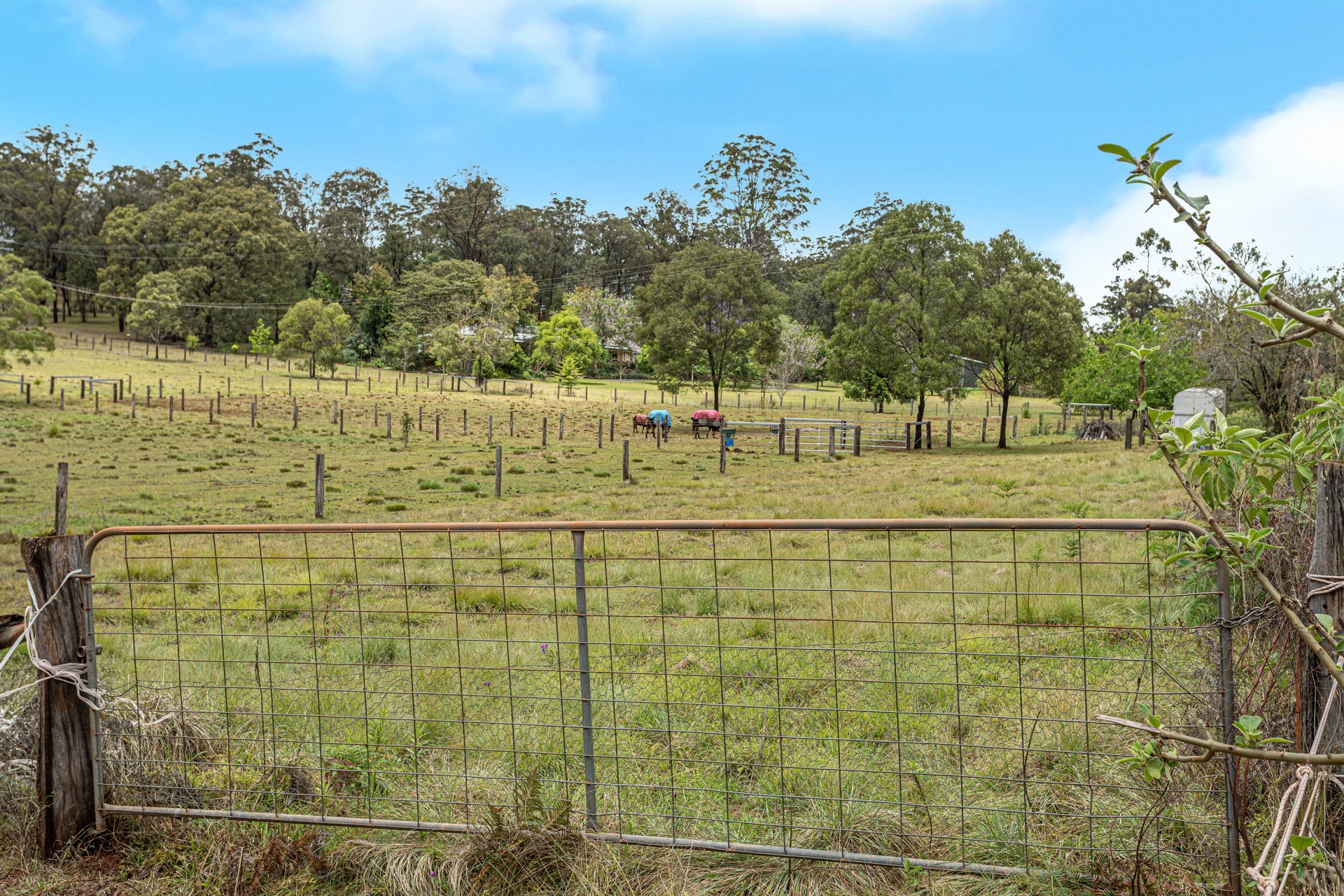 Lot 7 Donovan Road, Cabarlah - Image 1