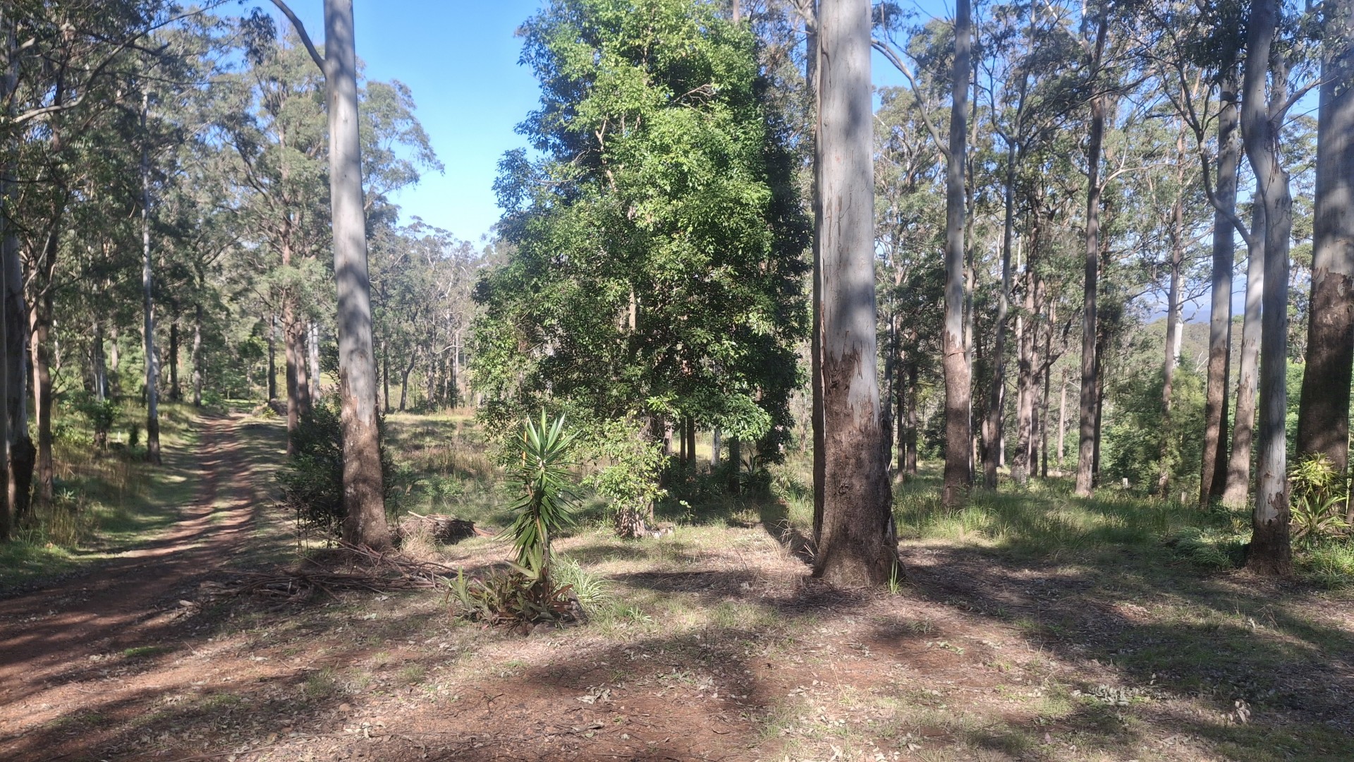 Image 14