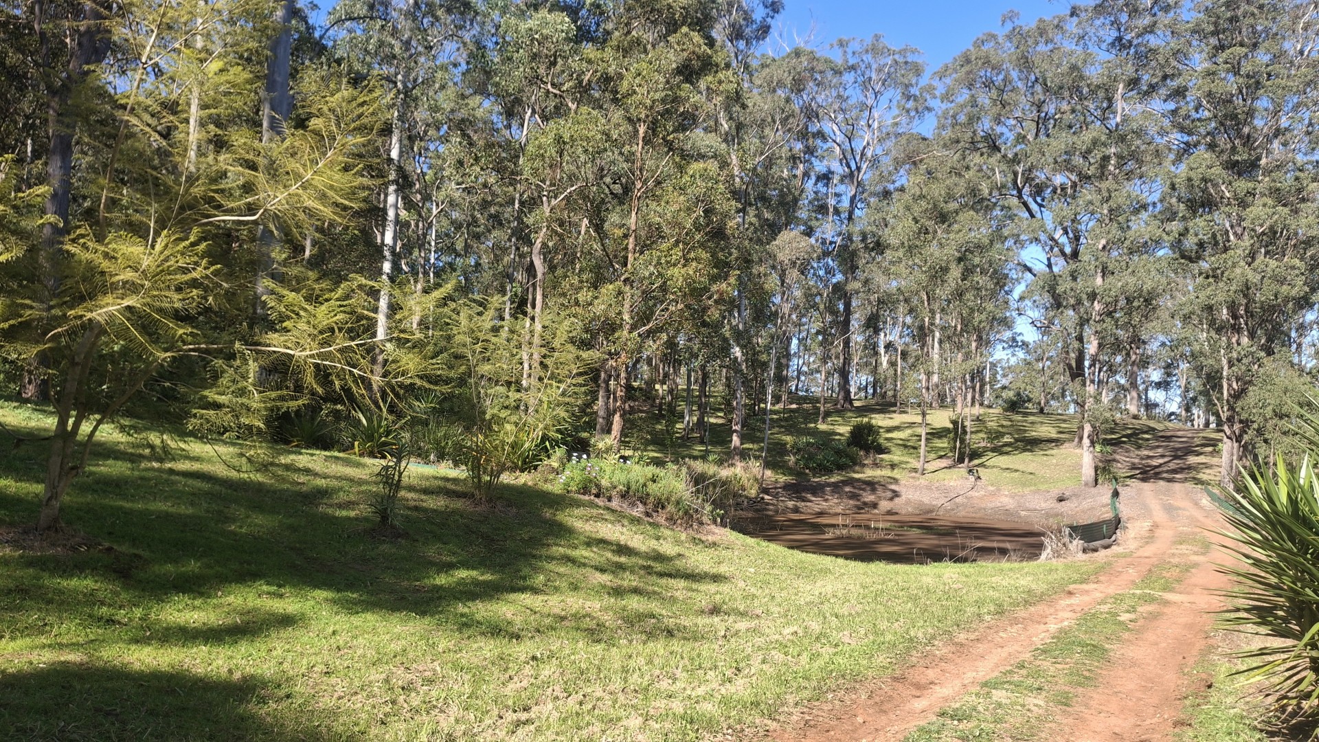 Image 10