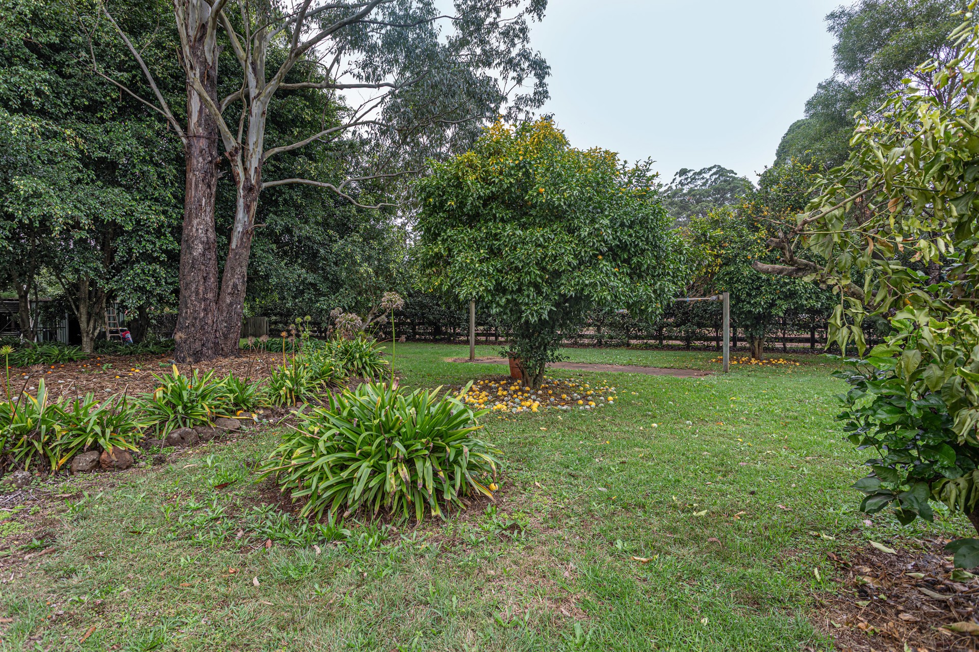 Image 15