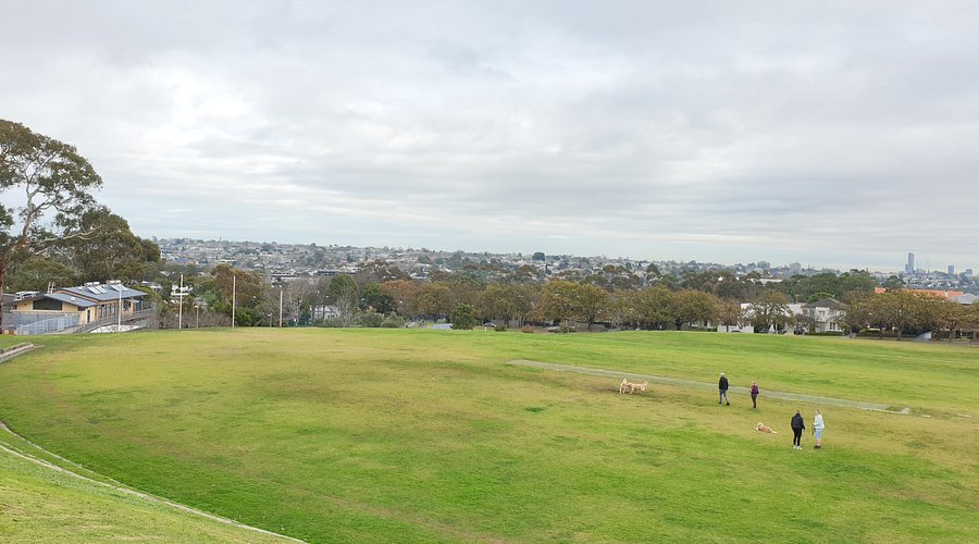 Real Estate in Hawthorn East