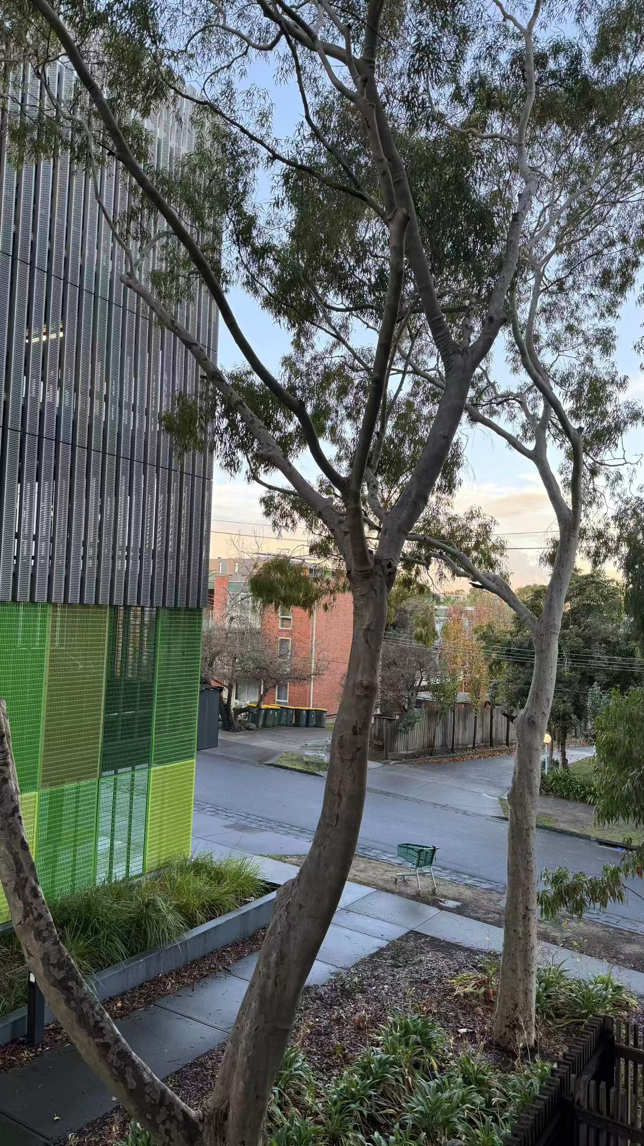 Real Estate in Box Hill