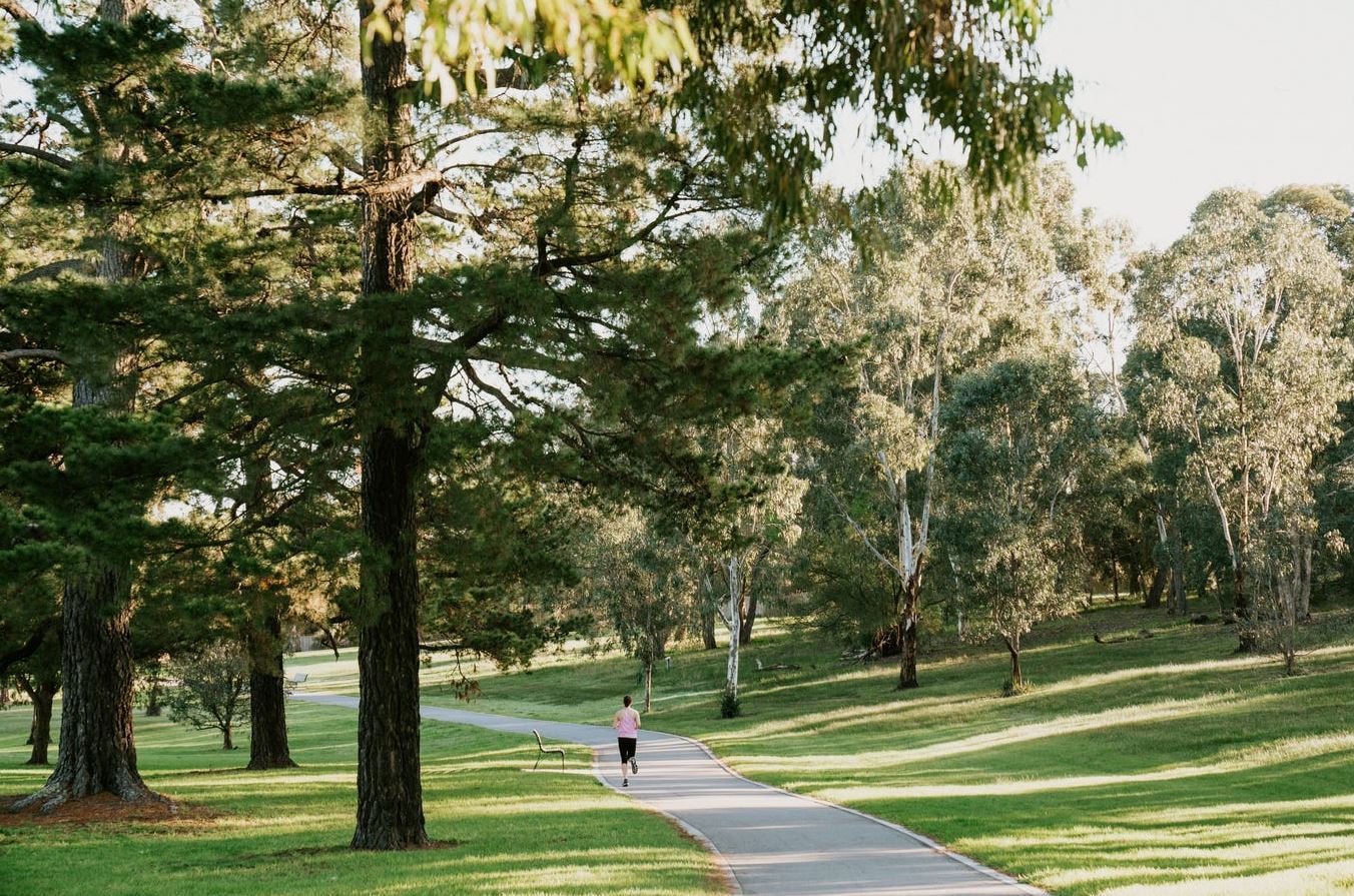 Real Estate in Box Hill